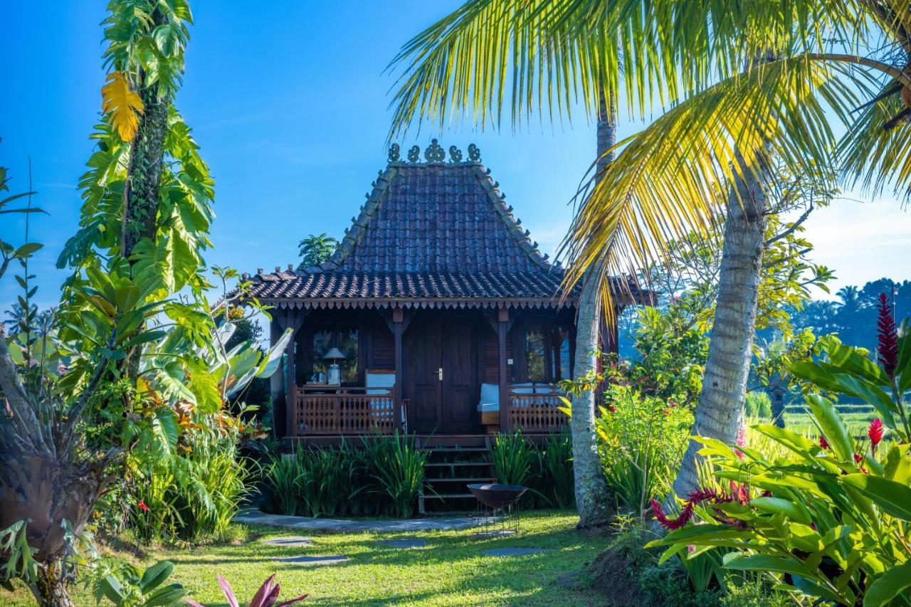 Villa Neyang Ubud  Luaran gambar