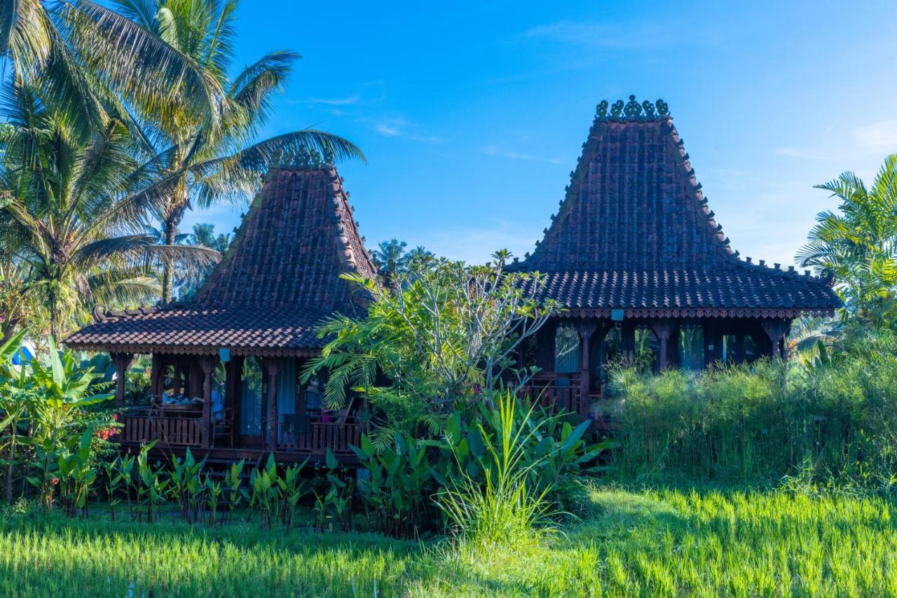 Villa Neyang Ubud  Luaran gambar