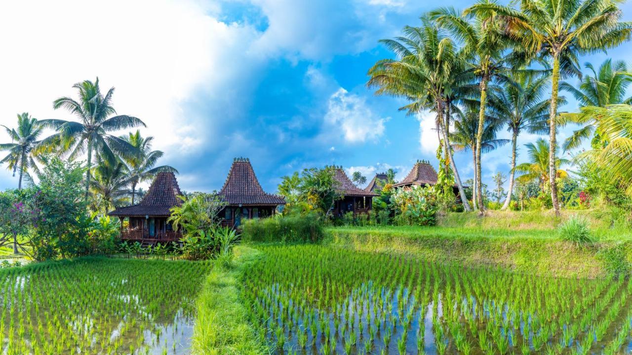 Villa Neyang Ubud  Luaran gambar