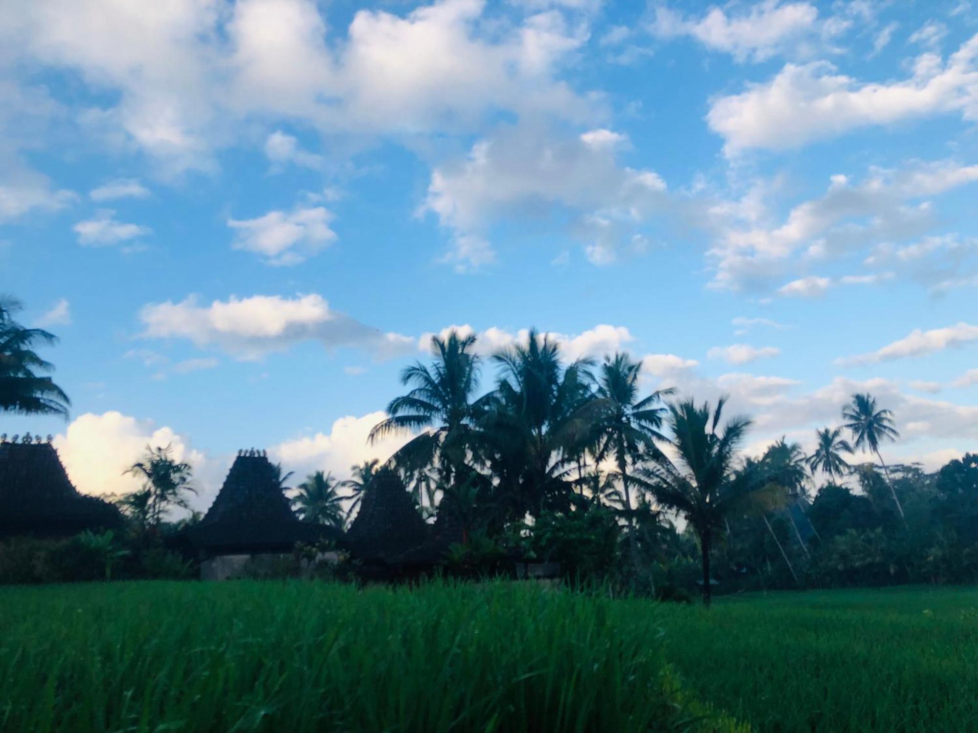 Villa Neyang Ubud  Luaran gambar