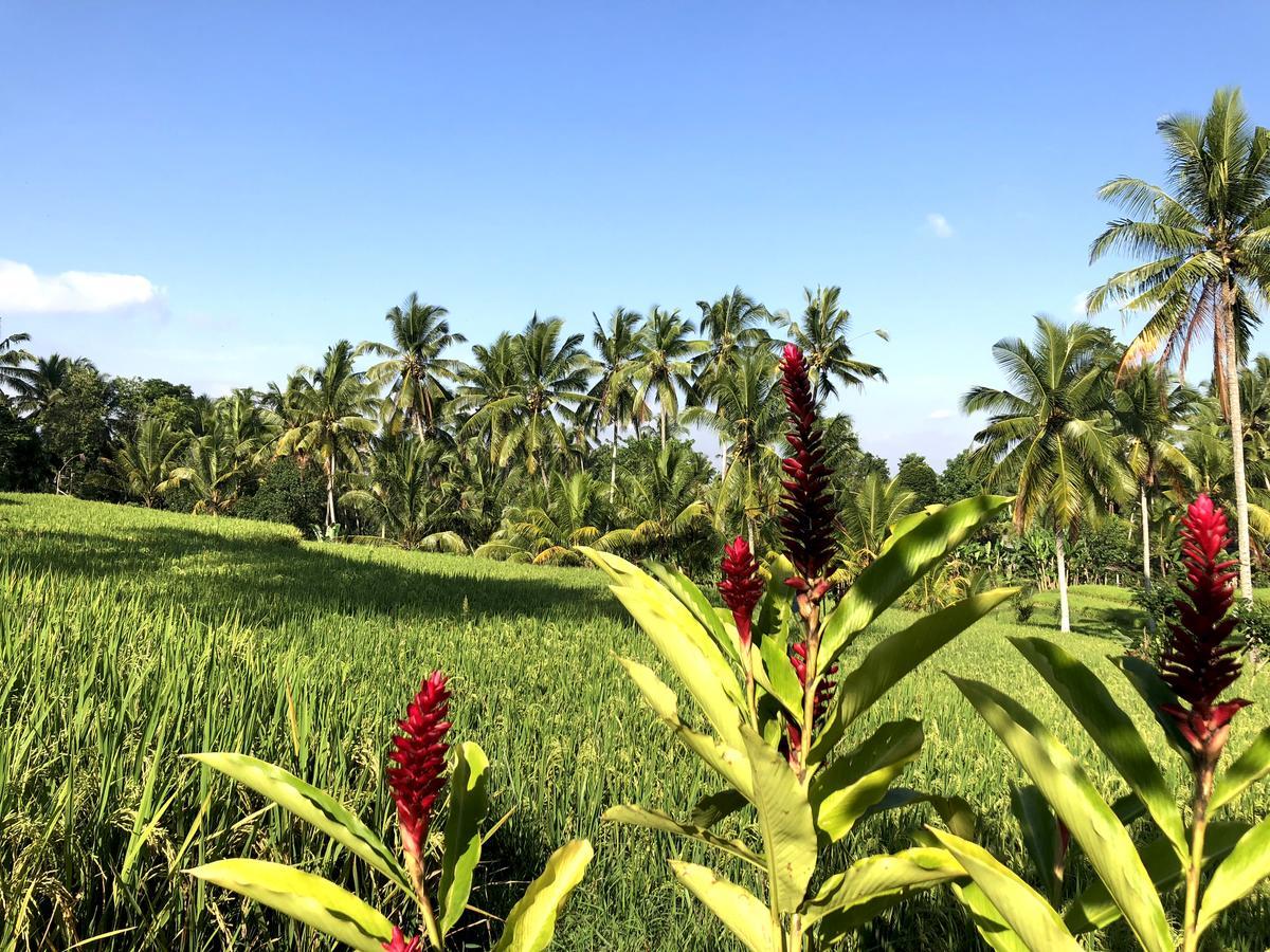 Villa Neyang Ubud  Luaran gambar