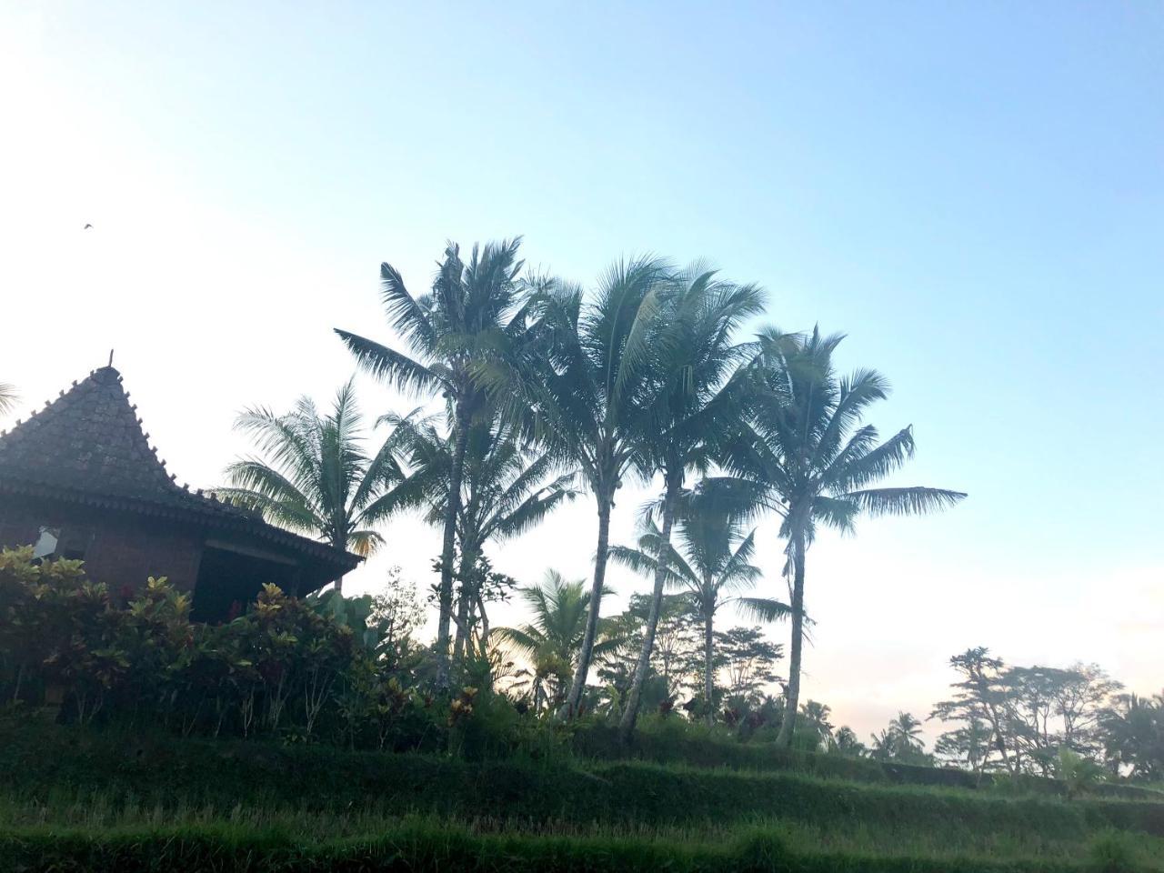 Villa Neyang Ubud  Luaran gambar