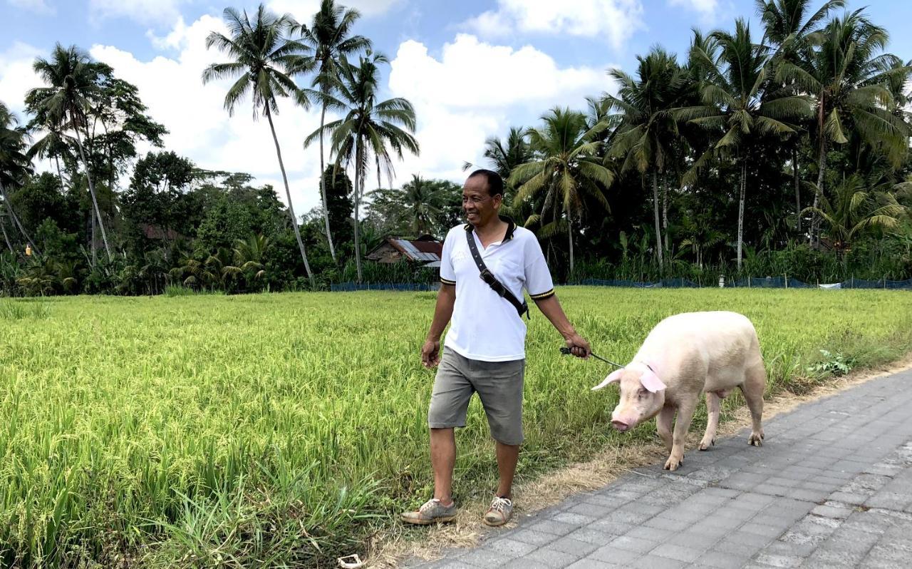 Villa Neyang Ubud  Luaran gambar