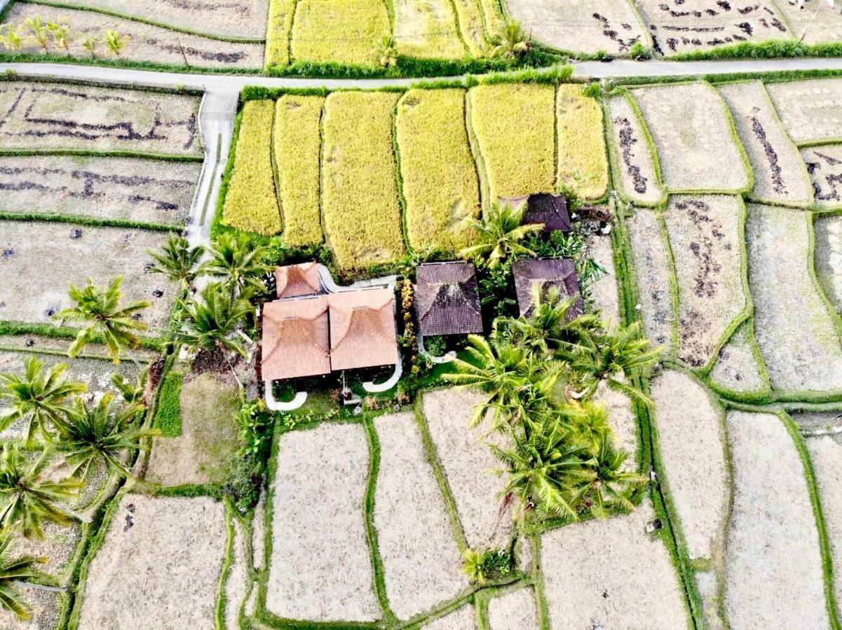 Villa Neyang Ubud  Luaran gambar