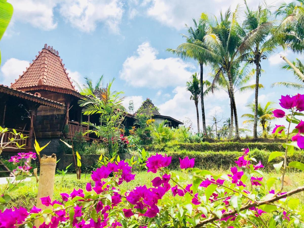 Villa Neyang Ubud  Luaran gambar