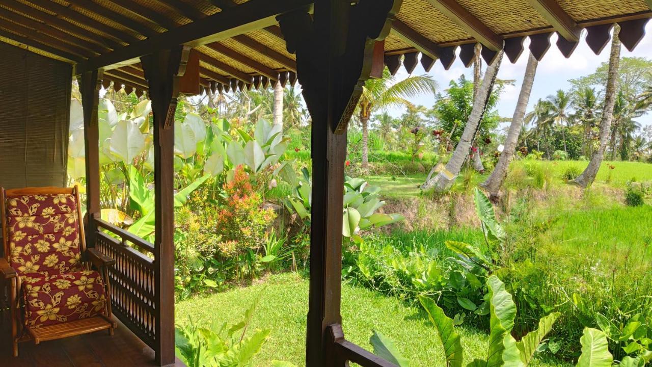 Villa Neyang Ubud  Luaran gambar